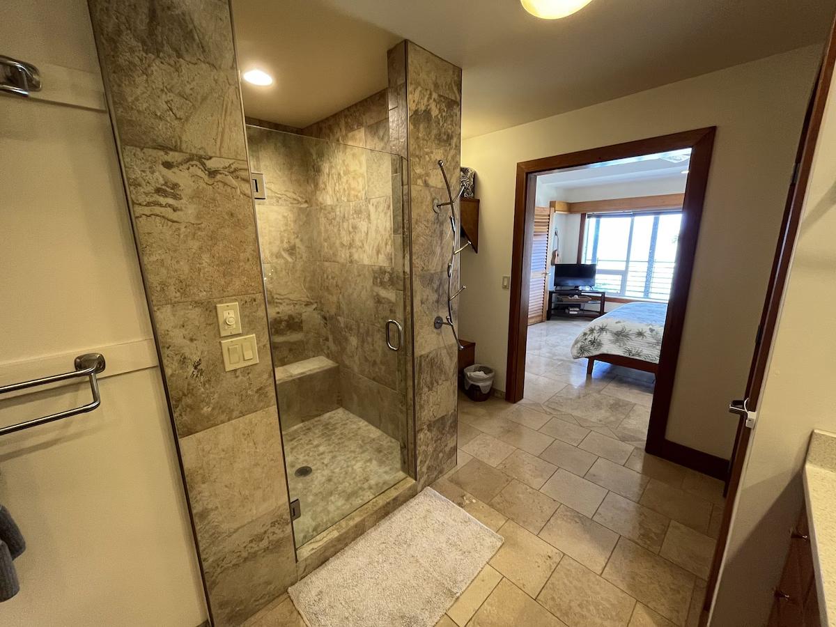 Master Bathroom Shower